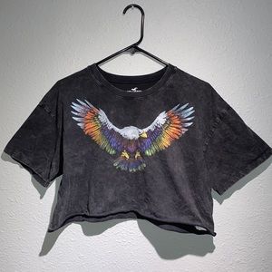Hollister - Pride Rainbow Eagle Crop Top
